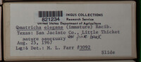 Image Associated With the Occurence
